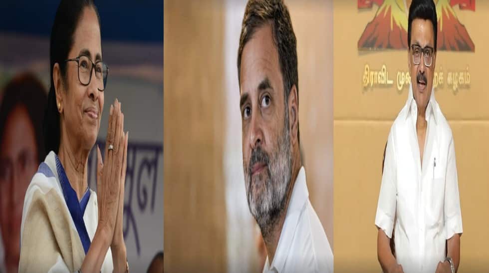 Assembly elections 2026: Not BJP, these two leaders may be Congress's biggest 'rivals' in upcoming polls