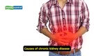 Chronic kidney disease in India: Top doctor explains causes, prevention and more