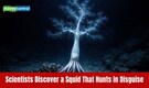 Shape-shifting squid? Scientists capture deep-sea creature 'mimicking tree' 4 km beneath Pacific