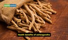 Can ashwagandha harm your liver? Fortis gastroenterologist explains the science