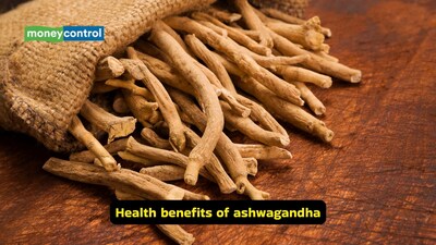 Health benefits of ashwagandha: It helps induce sleep, reduce cortisol and stress, and, in some men, it might also improve testosterone levels (Image: Pexels)
