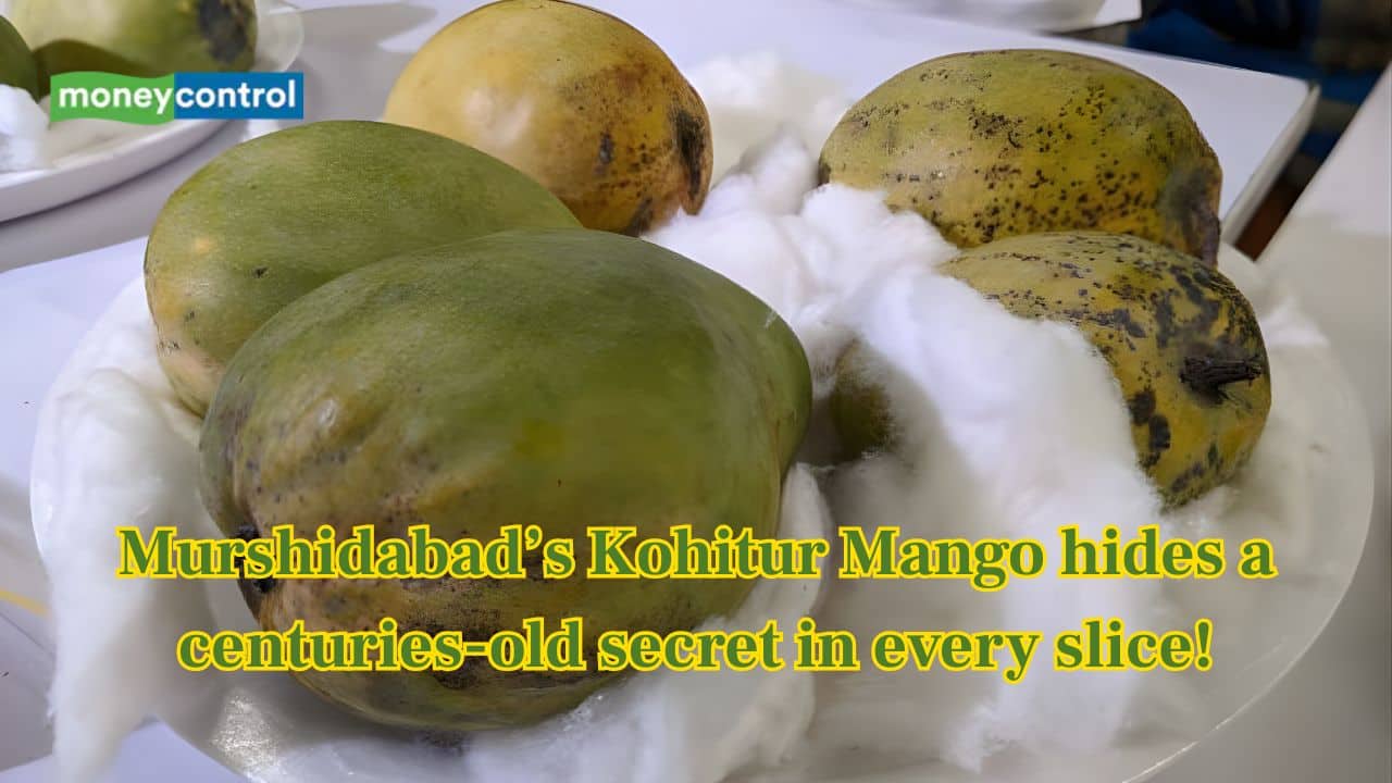 Grown in Murshidabad, this rare Kohitur Mango can cost ₹2,000 a piece — But the way it’s sliced will surprise you!