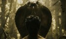Kartik Aaryan’s fantasy film Naagzilla to release on Prime Video post theatrical run