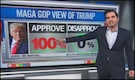 MAGA gives Trump 100% approval in new poll, CNN analyst says numbers 'jump off the screen' | Watch