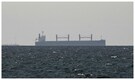 Why US is easing some sanctions on Iranian oil despite the war