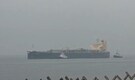 Cargo ship Pyxis Pioneer carrying LPG from US arrives at Mangalore Port