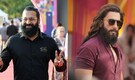 Rishab Shetty praises Ranveer Singh’s Dhurandhar 2: 