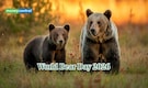 World Bear Day 2026: The endangered Himalayan Brown Bear can grow up to 2.2 metres in length