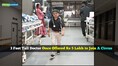 3 feet tall doctor once offered Rs 5 lakh to join a circus — story of Dr Ganesh Bariya, mocked for his height but never gave up