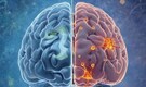 Scientists identify “death switch” in brain linked to Alzheimer’s progression