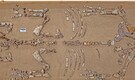 Rhino in the Arctic? A 23-million-year-old fossil at Haughton Crater stuns scientists—Turns out to be a new species!