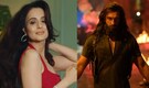 Ameesha Patel praises Ranveer Singh's Dhurandhar 2, writes 'Aditya cast actors and not instagrammars'