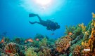 8 incredible underwater spots in Asia for your next diving adventure
