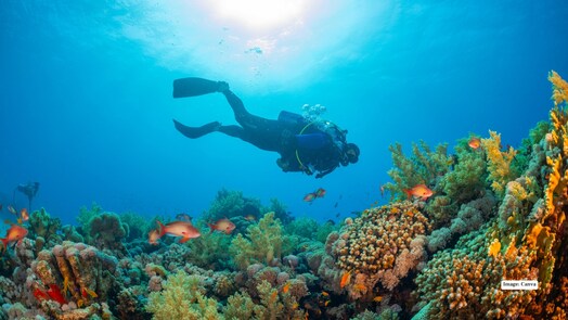 8 incredible underwater spots in Asia for your next diving adventure