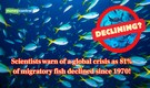 81% of migratory fishes have vanished since 1970—A global food crisis may be unfolding