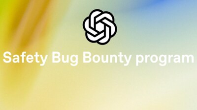 Safety Bug Bounty program