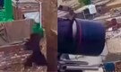 Dhurandhar 2 BTS clip goes viral: Ranveer Singh jumps into action against Arjun Rampal in climax fight, watch here