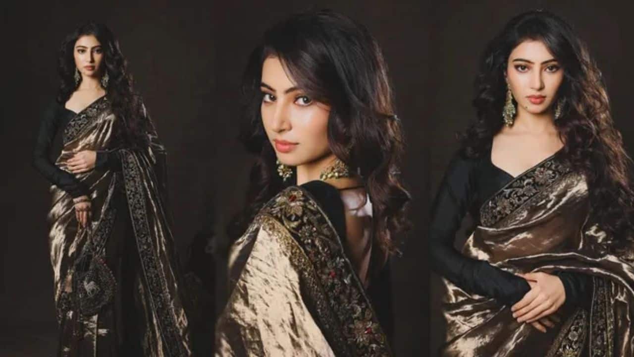 Bold and Regal Black-Gold Look<br />This black and gold saree avatar showcases Sara in a powerful, almost royal aesthetic. The dramatic makeup, statement earrings, and voluminous hair elevate the intensity. It gives off a fierce, confident, and commanding screen presence.