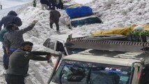 7 killed, 5 injured after multiple avalanches along Srinagar-Leh national highway
