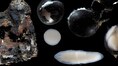 Eggs in Black Colour? What Japanese scientists found 6,200 metres below Pacific amazed everyone!