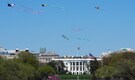 'Epstein Island' flashes on phones during White House call. Google blames 'fake edit' on Android