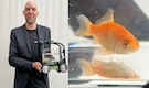 Meet Blub: The Goldfish who drove a car for 1 minute and set a World Record in Italy—But how?