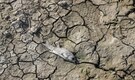 Iran war shock: Middle East water crisis spirals into a dangerous new phase