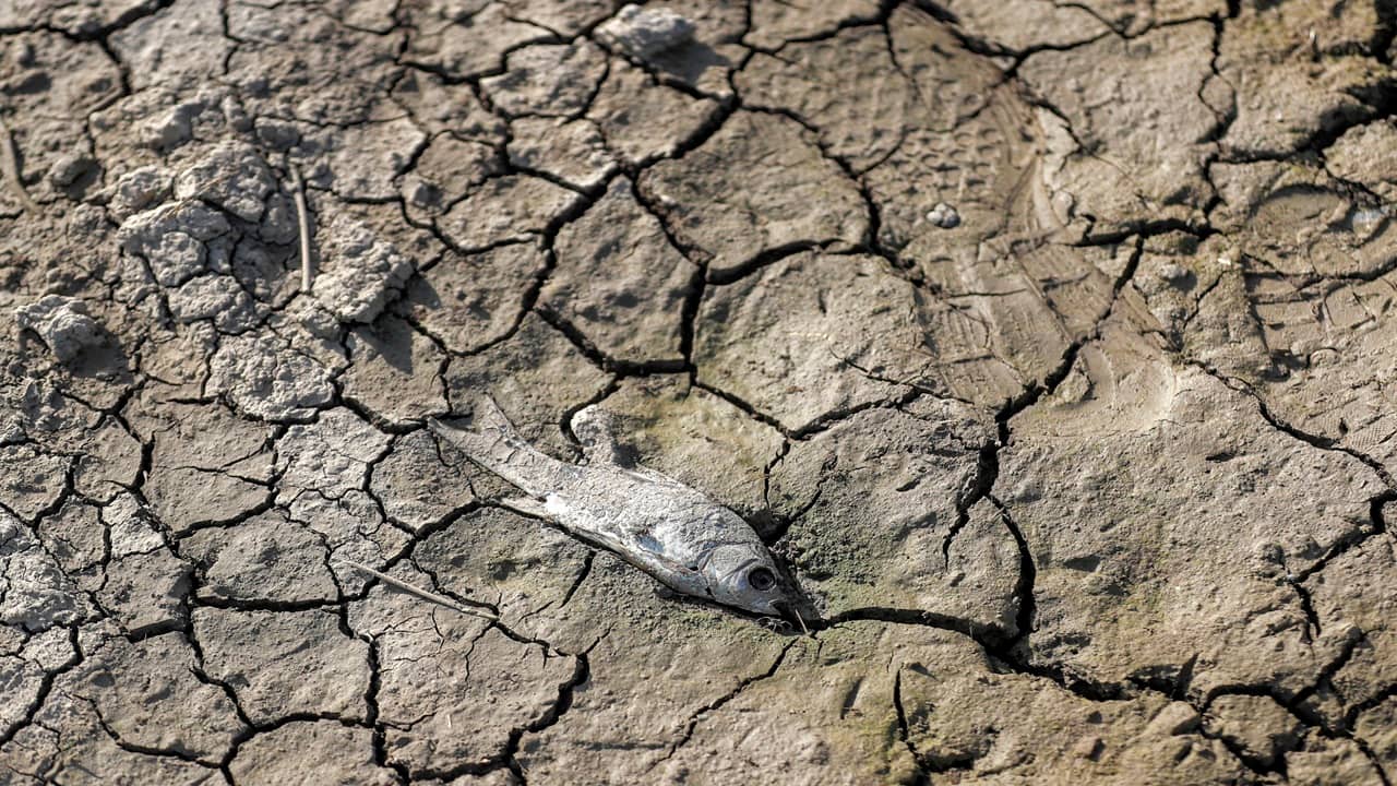 Iran war shock: Middle East water crisis spirals into a dangerous new phase