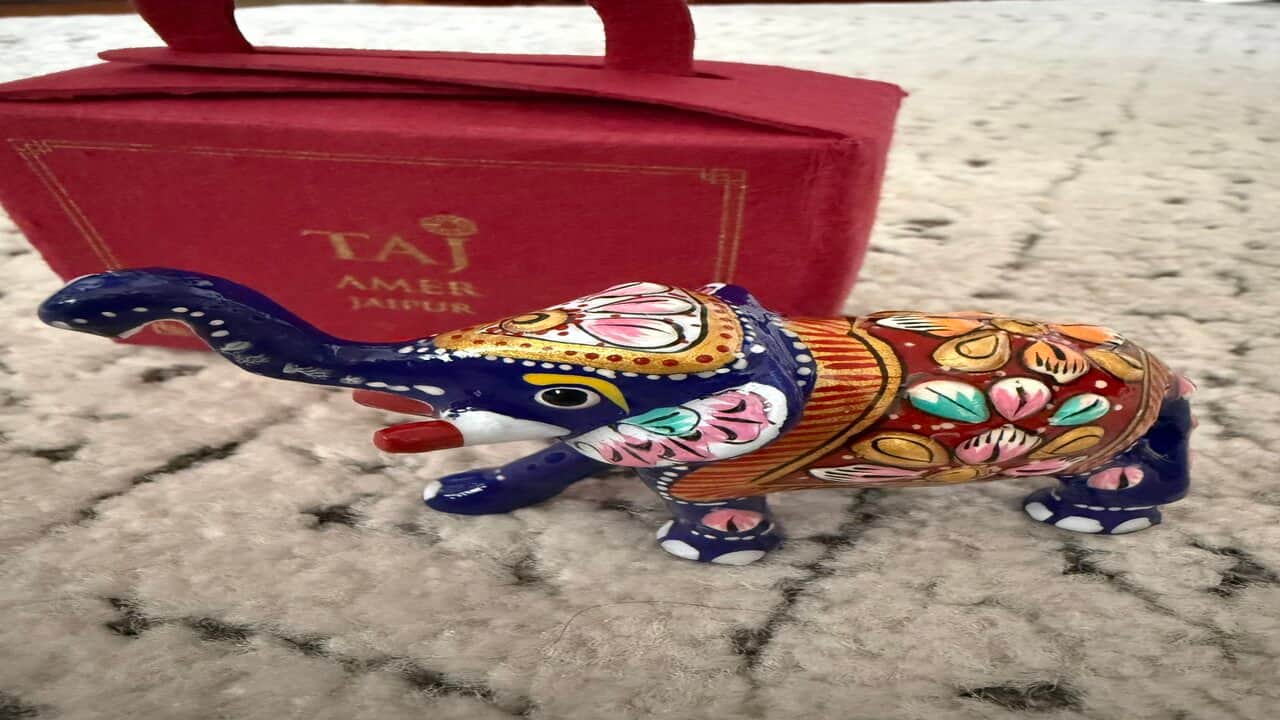 ‘Aapke bag mein haathi hai’: Airport scan flags founder's luggage, internet in splits