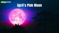 'Pink Moon' to rise this weekend: How and when to see April’s full moon
