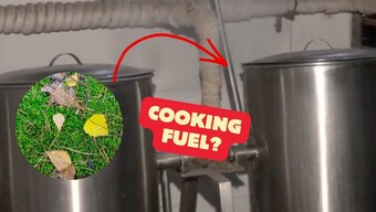 IIT Bombay scientist turns fallen leaves into cooking fuel—How will this reduce LPG use?