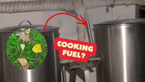 IIT Bombay scientist turns fallen leaves into cooking fuel—How will this reduce LPG use?