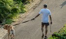 6 common mistakes dog owners make during summer months