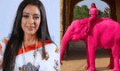 Rupali Ganguly urges PM Narendra Modi to ban elephant rides after ‘pink elephant’ controversy