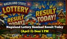 Nagaland Lottery Sambad Result Today (April 3) Announced: Check Dear Victory 1 PM lucky draw winners, first prize Rs 1 crore