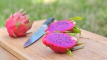 Doctor shares how this ‘tasteless’ fruit may help protect you from multiple diseases