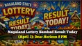 Nagaland Lottery Result Today (8 PM) April 3: Check Dear Horizon lucky draw winners, first prize Rs 1 crore