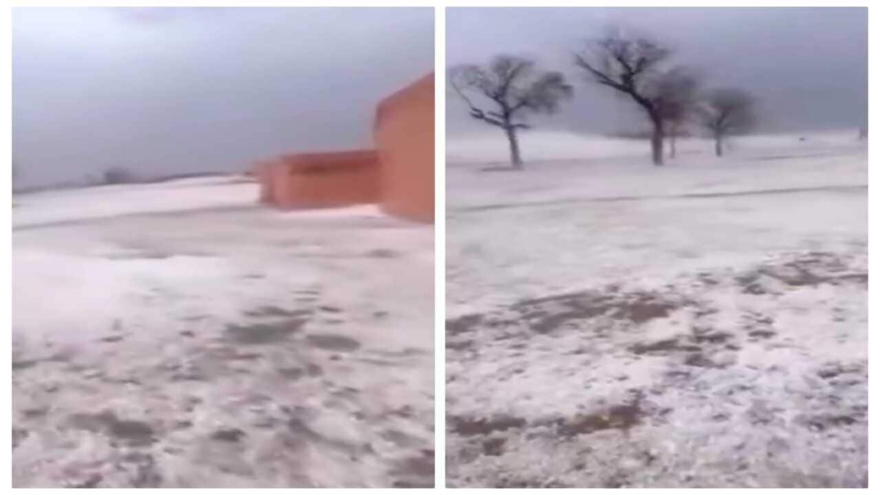 ‘Looks like Kashmir’: Viral video shows Bikaner field covered in hail after Rajasthan storm