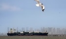 Green Sanvi eighth India-flagged vessel to safely cross Strait of Hormuz