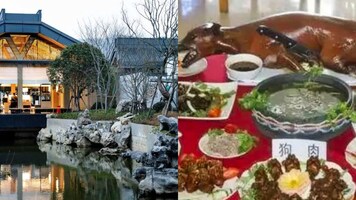 'Deeply offensive': Hotel sparks outrage after suggesting dog meat eateries to guests with puppy
