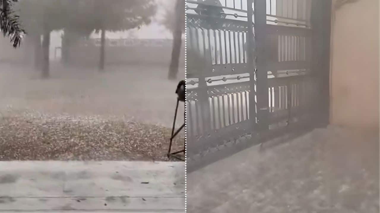 Snow in the desert? Rare hailstorm blankets parts of Rajasthan in white | WATCH