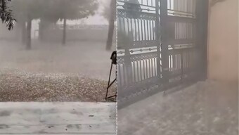Snow in the desert? Rare hailstorm blankets parts of Rajasthan in white | WATCH