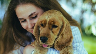 Heatstroke in pets: 5 signs every pet parent should know