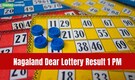Nagaland Lottery Result Announced: Dear Vision Saturday draw on April 11 with ₹1 crore jackpot