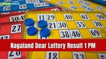Nagaland State Lottery Result Today (May 5): Dear Shine Tuesday draw for ₹ 1 Crore at 1 PM; winners soon