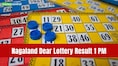 Nagaland Lottery Result Announced: Dear Vision Saturday draw on April 11 with ₹1 crore jackpot