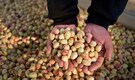The commodity nobody noticed in the US-Iran rivalry: Pistachios