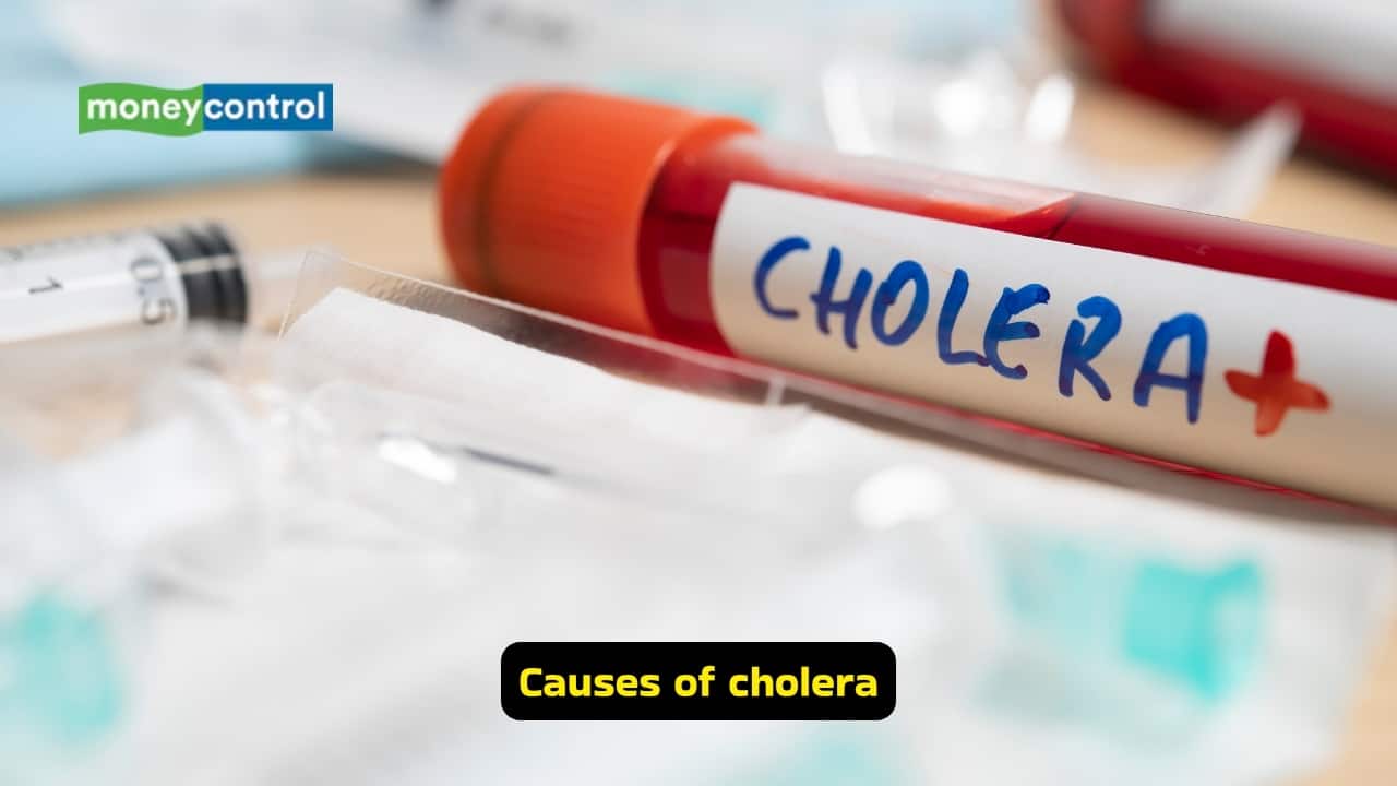Daily diet with milk and wheat could cut cholera risk by 100 times ...