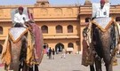 Anant Ambani's Birthday Celebrated At Jaipur's Hathi Gaon With Elephants, 3,000 Kg Fruit Buffet