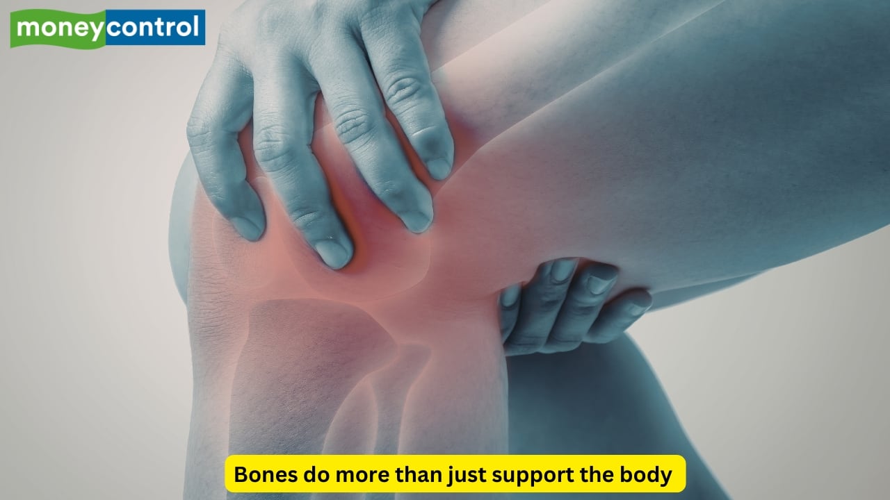Can strong bones support type 2 diabetes management? Expert explains